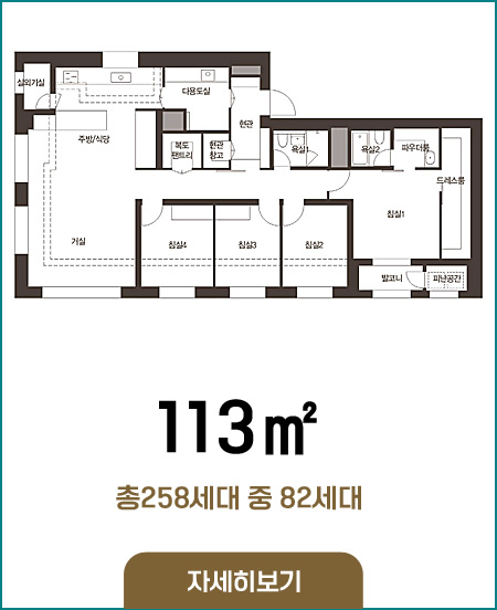 113타입 258세대 중 82세대